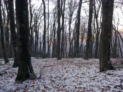 Прикрепленное изображение: y_1aa8d641.jpg